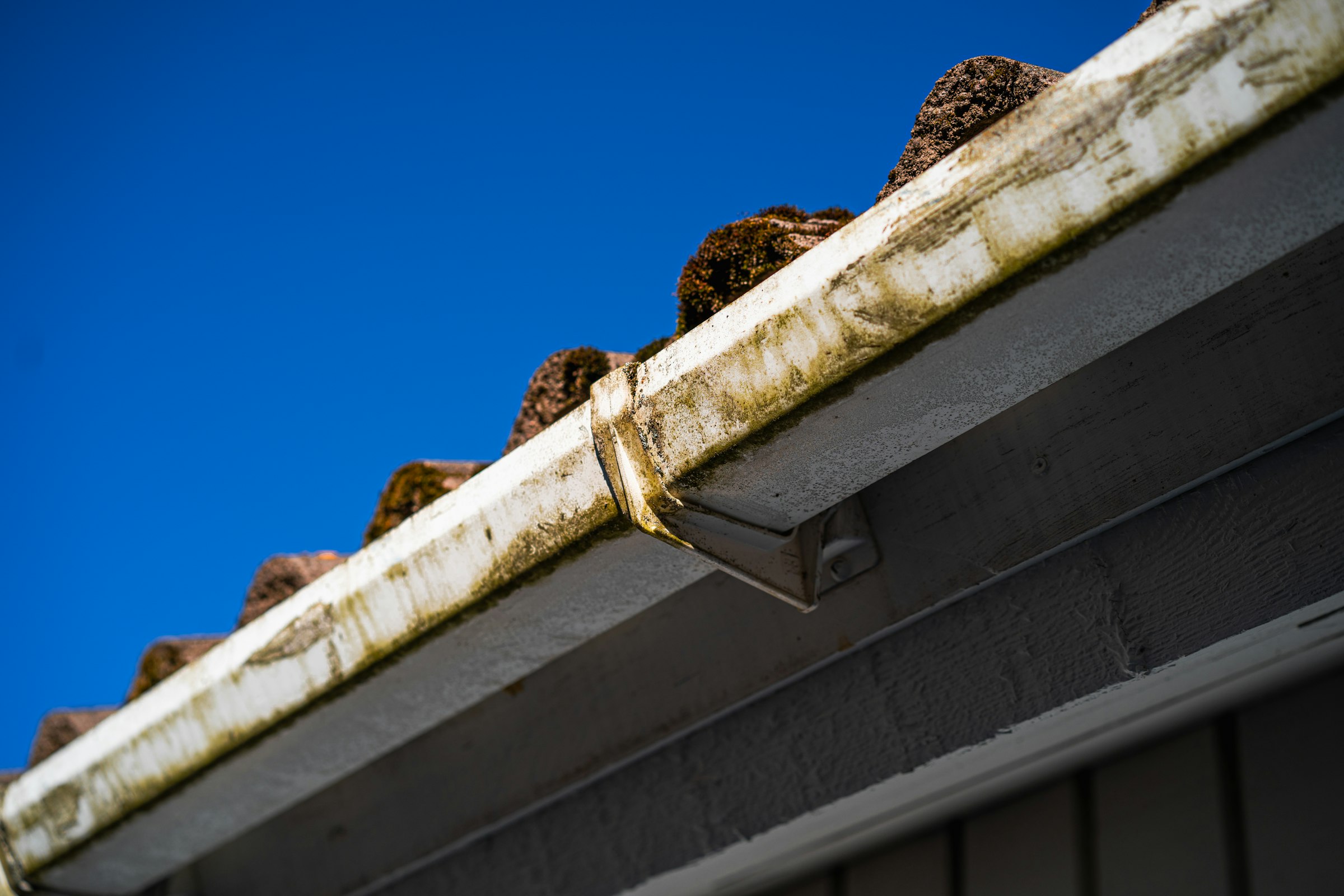 Clogged gutters along a roof edge that need cleaning