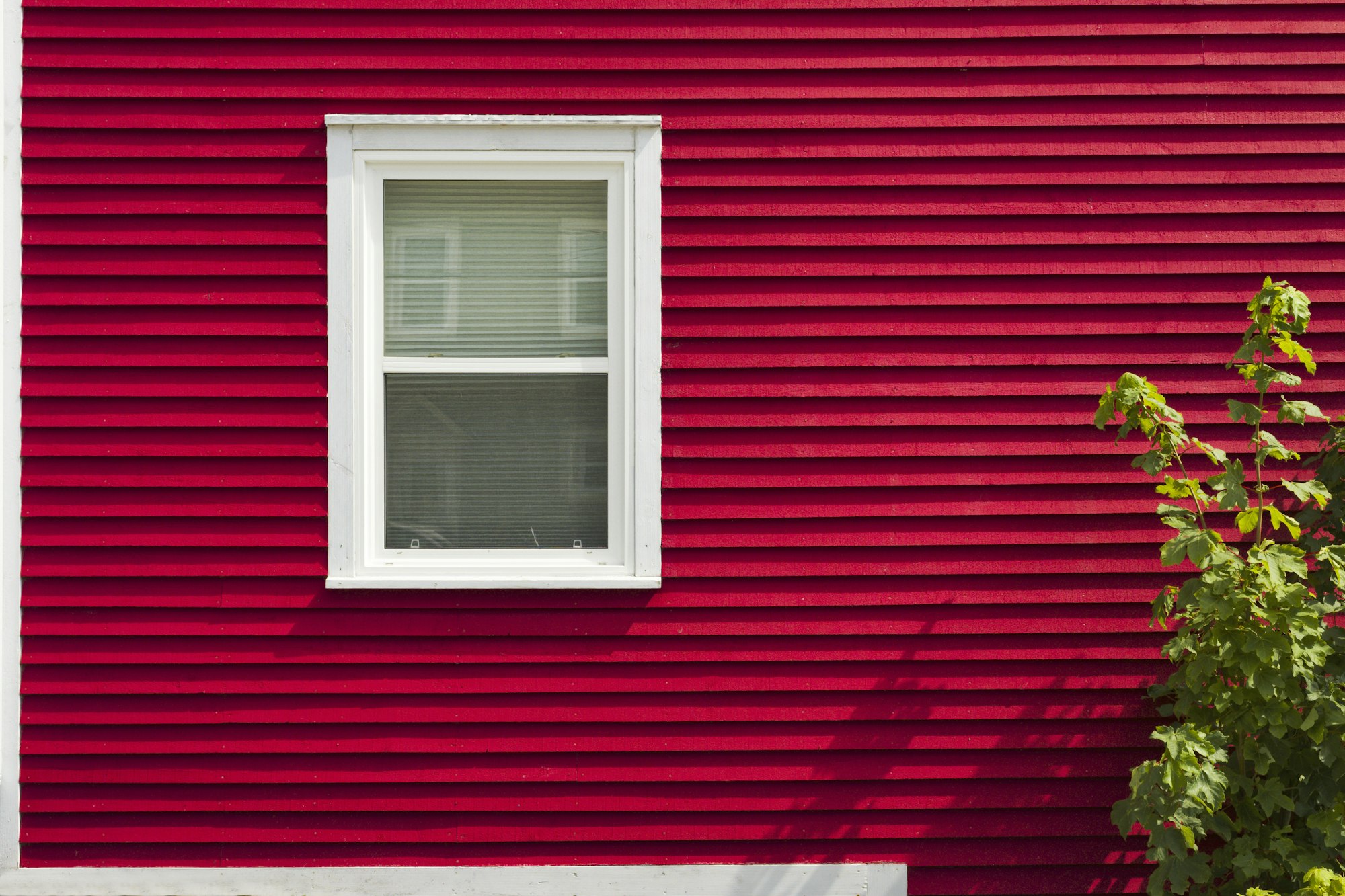 Horizontal siding with white window trim